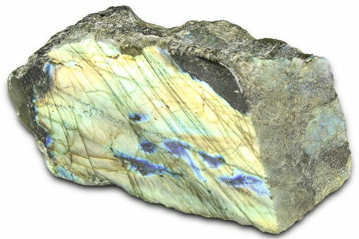 Single Side Polished Labradorite Section - Madagascar #364297